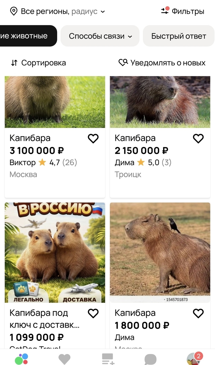 �������-�����