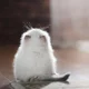������ ������������ user8328851