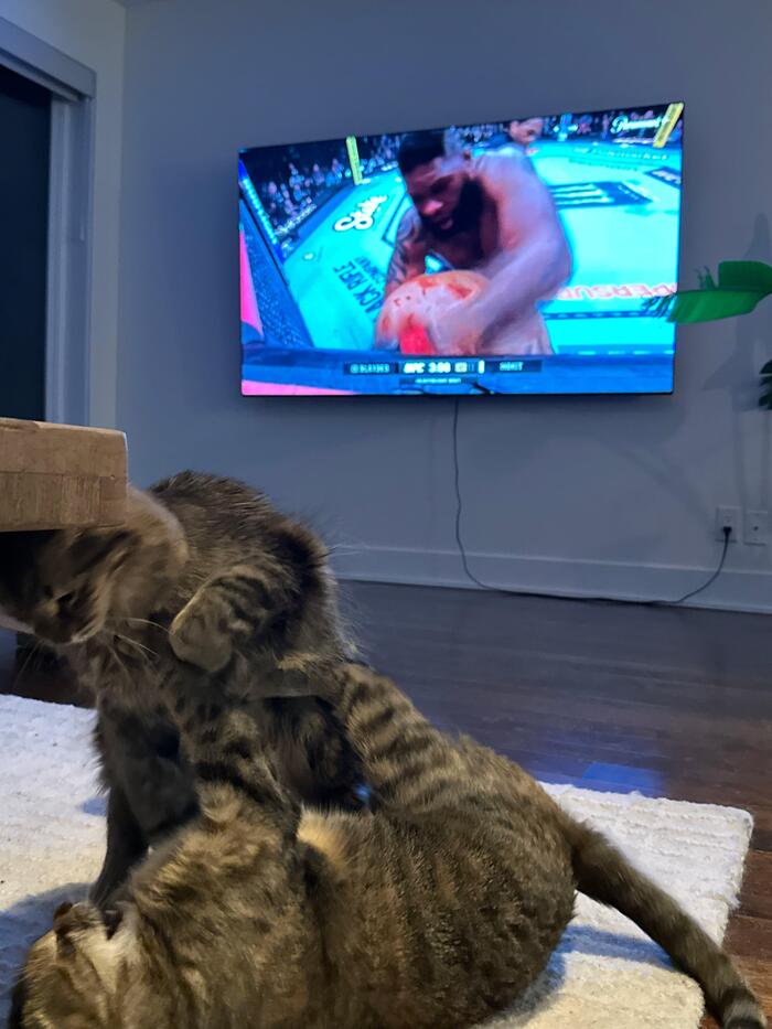 ����������� ������ ���������� � ������� ����� ���� �����