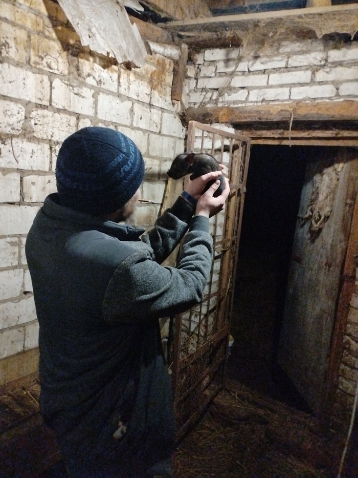 Вот черинький.