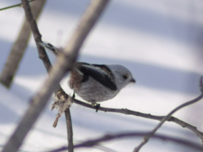 ��������� � �����)