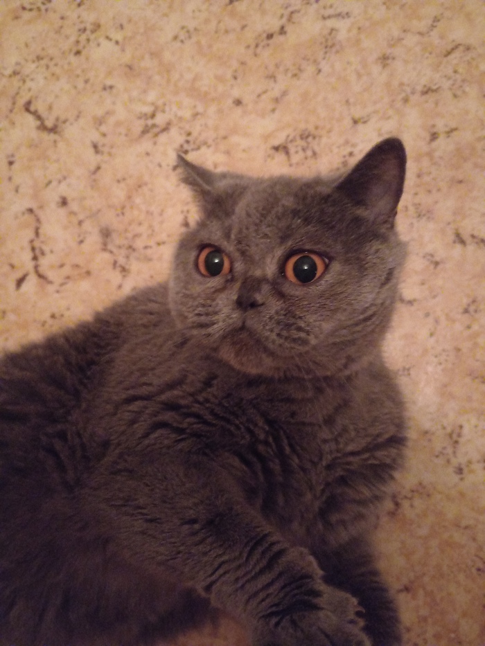 ���� ������� ������� ������� ����������� 9 ���!