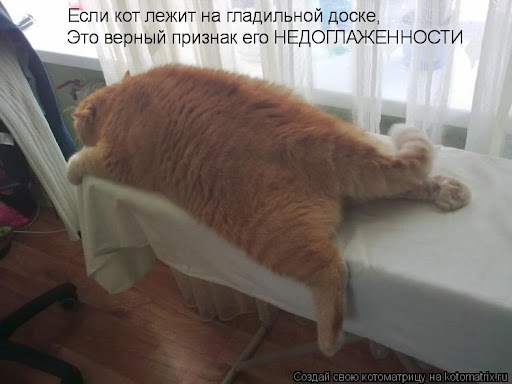 ����� �� ���� ���������