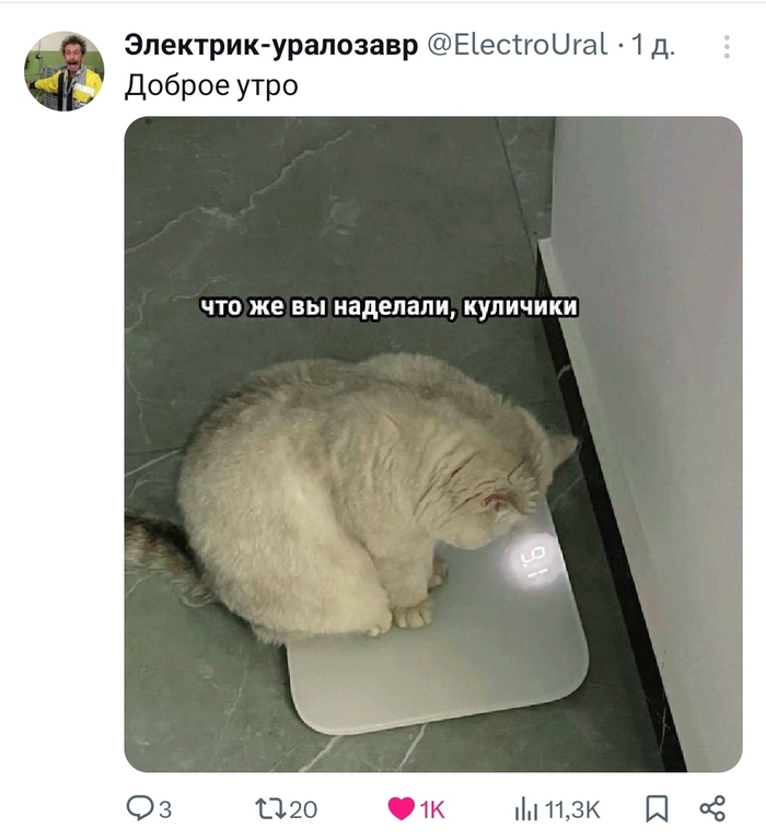 ��� �� �� ��������?