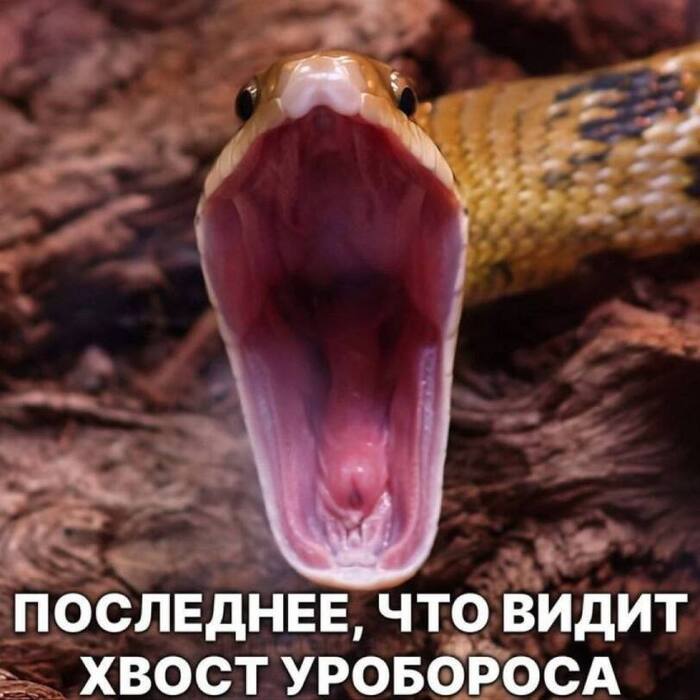 ����������� �� ����� ���������� ����
