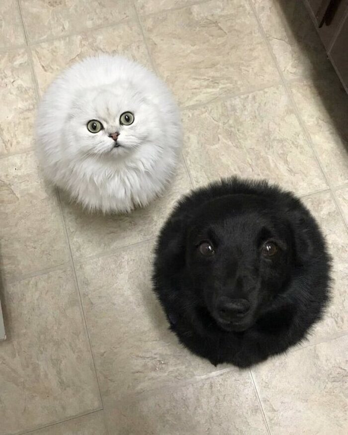 ����� � �������