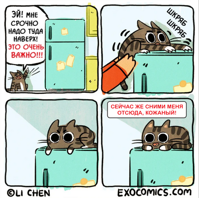 ����������� � �����������