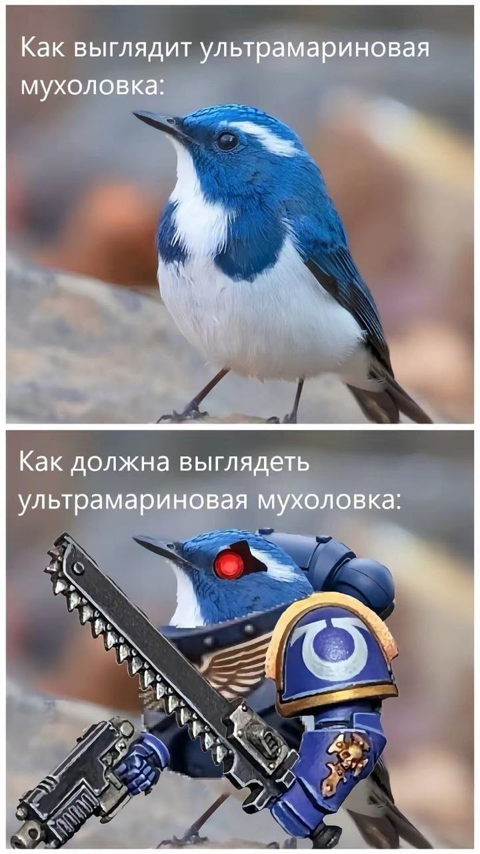 ��������������� ���������