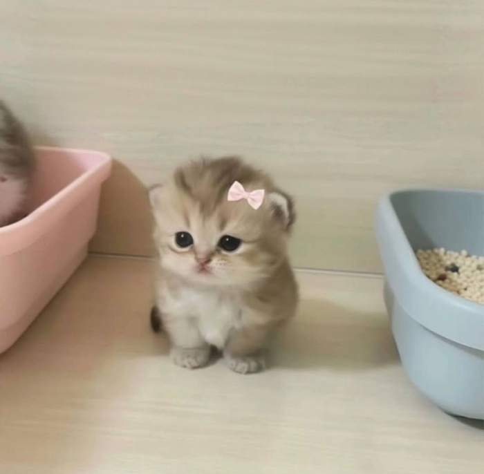 �� ����� �������, ������� ������ ��� ����� ���������, ������ ��� �� ����� ������� ��� ����� ��� ���� �����.