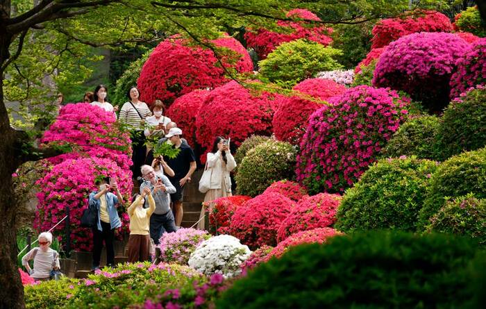 ������ � ����� �������� ��������� ����� �������� - 3,6 ��� �������//����: ���/����