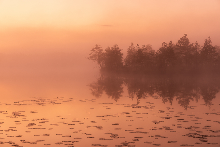 ����� �������, ��