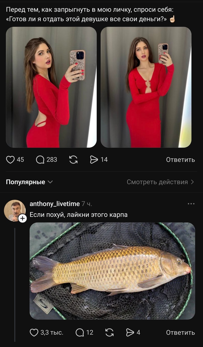 ������������� ������������