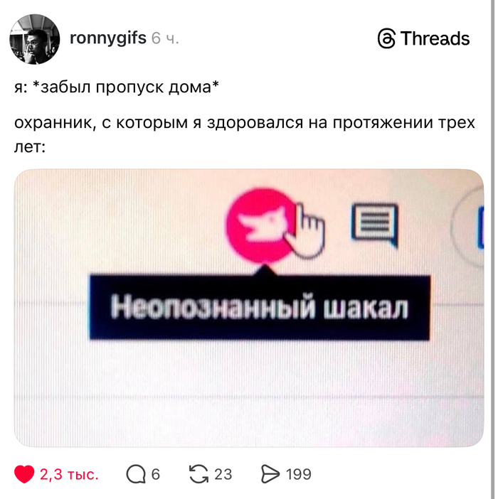 ��������: