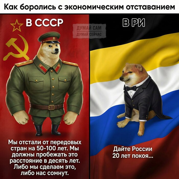 ��� �������� � ������������� �����������: ���� vs ��