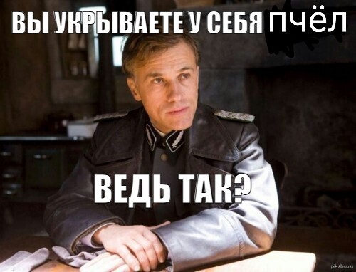 Вы укрываете у себя пчёл, ведь так?