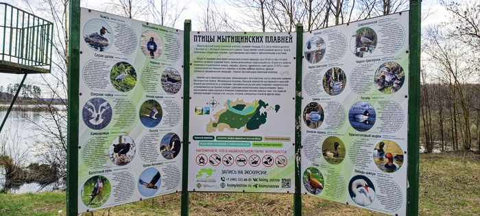 ����� ����� �����.