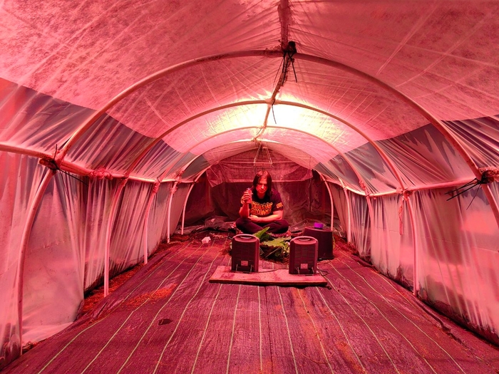 Снова пытаюсь вырастить тыкву 1000кг. Часть 2