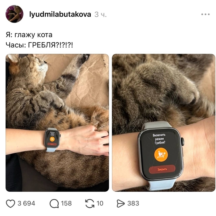 � ����� "����" ����?