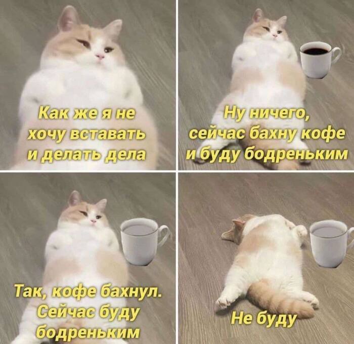 ����� ������� ���������
