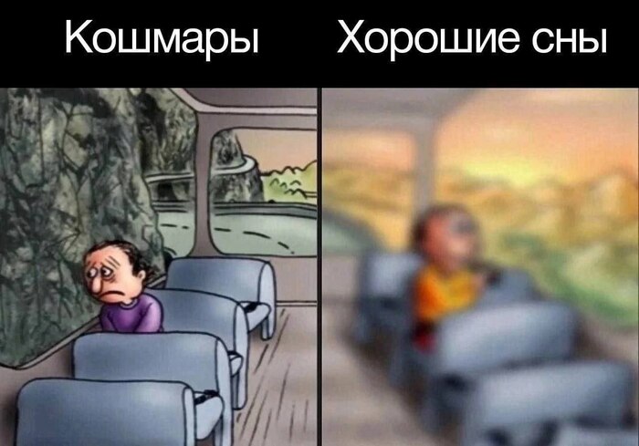 Такие разные сны