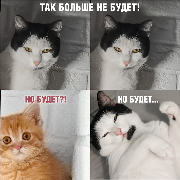 ��� ���� �������� ����������)