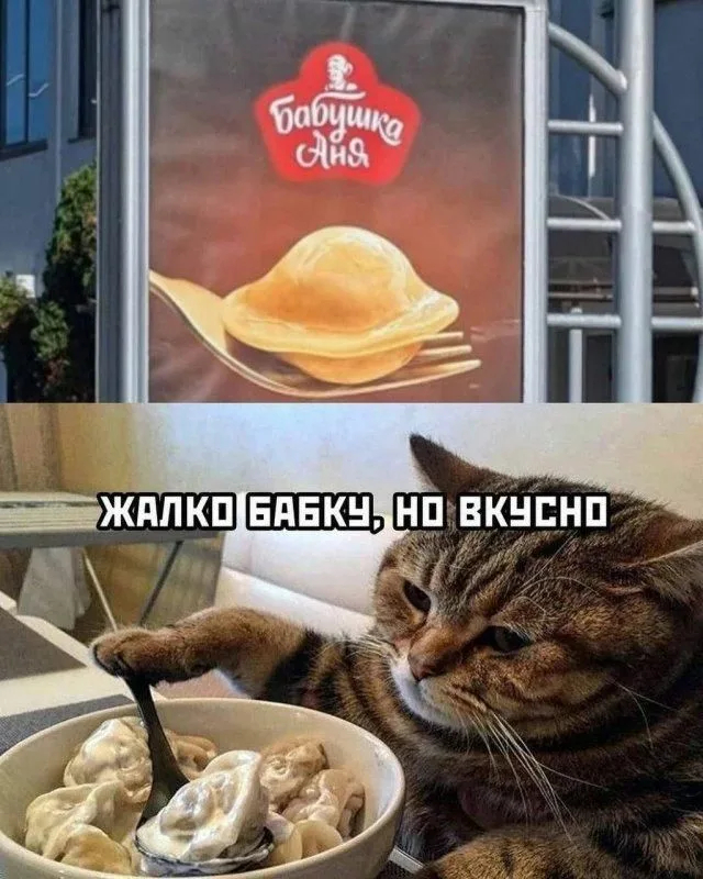 #ЗЗЗ