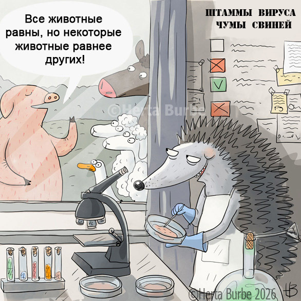 ������� ����
