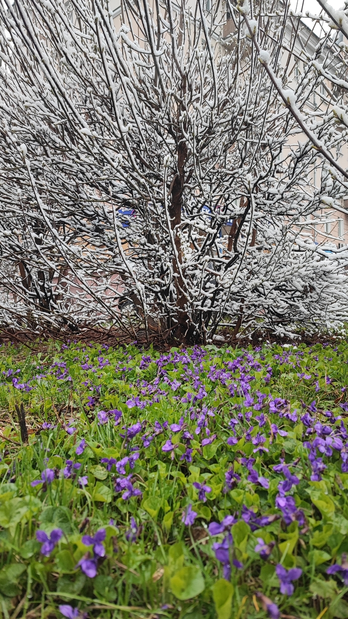 ����� �� ���� �������, �� �� ���?�