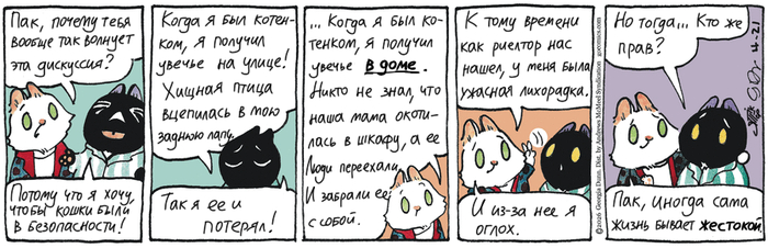Котейкины Новости от 21.04 2026