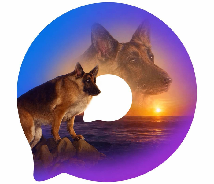 ��� �� ������� ���� ������ ���� ���� �� ...