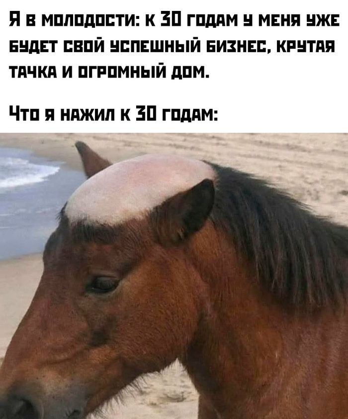 ����� � ����