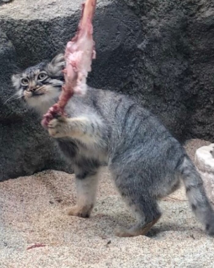 ����� �� � ���� ����