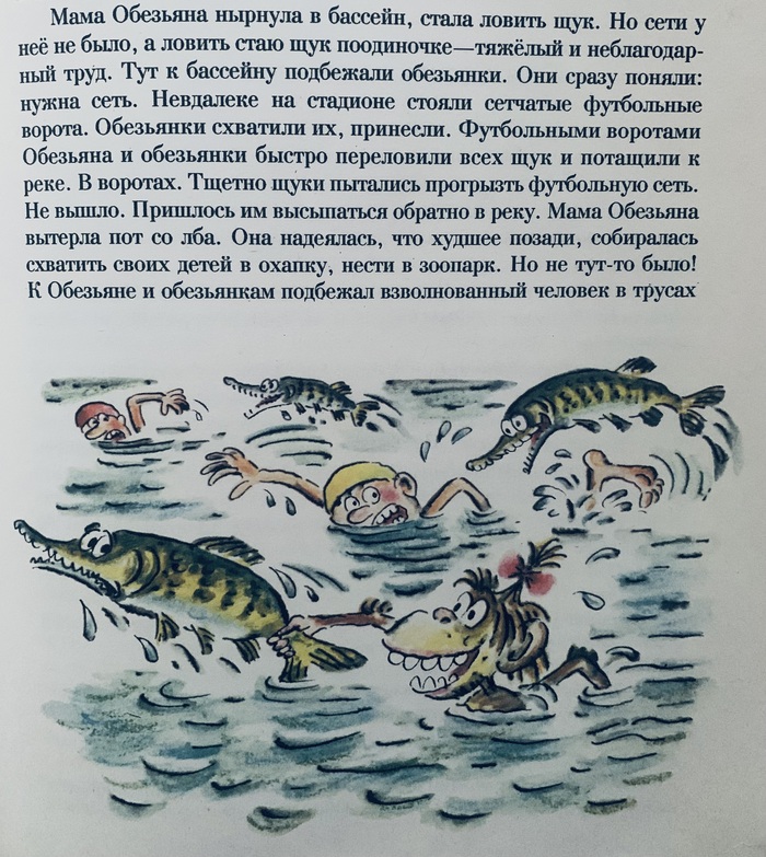 ���� -���������, ������� ���� ��������.