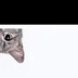 Plumbum999
