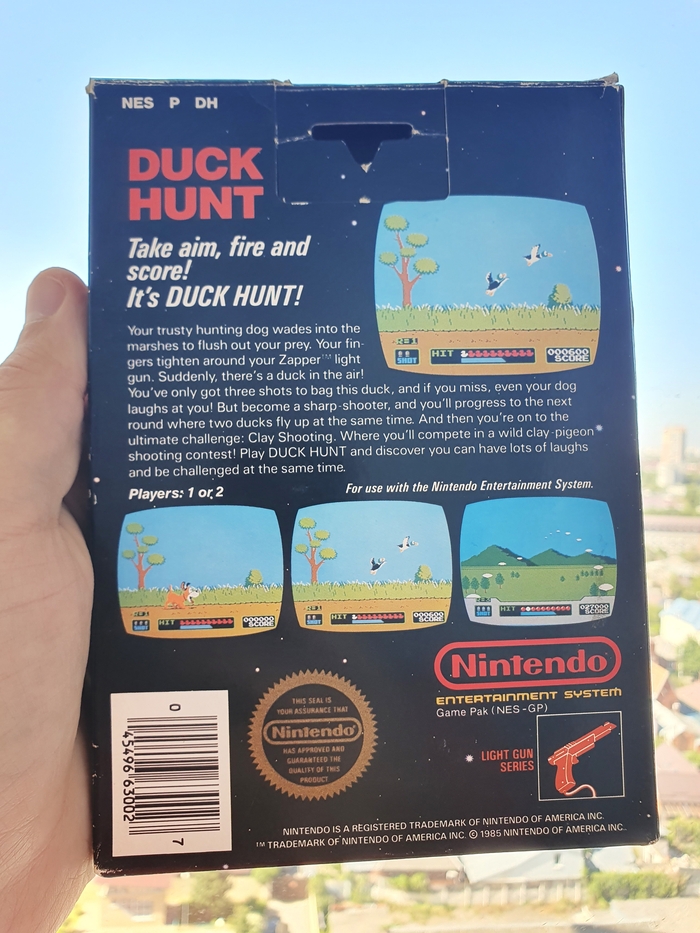 ������ ������� � ����� Duck Hunt