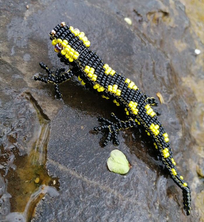 �������� ����������!