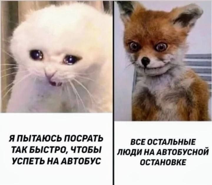 ���������� ������ ��������� ����