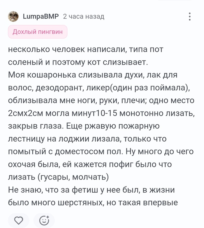 <a href="https://pikabu.ru/story/pozharnuyu_lestnitsu_13913398?u=https%3A%2F%2Fpikabu.ru%2Fstory%2Fkot_vyilizyivaet_khozyayku_13912337%3Fcid%3D390421677&t=%23comment_390421677&h=40bd4fe25e0daf1fb759fc67d106e425fef75e95" title="https://pikabu.ru/story/kot_vyilizyivaet_khozyayku_13912337?cid=390421677" target="_blank" rel="noopener">#comment_390421677</a>