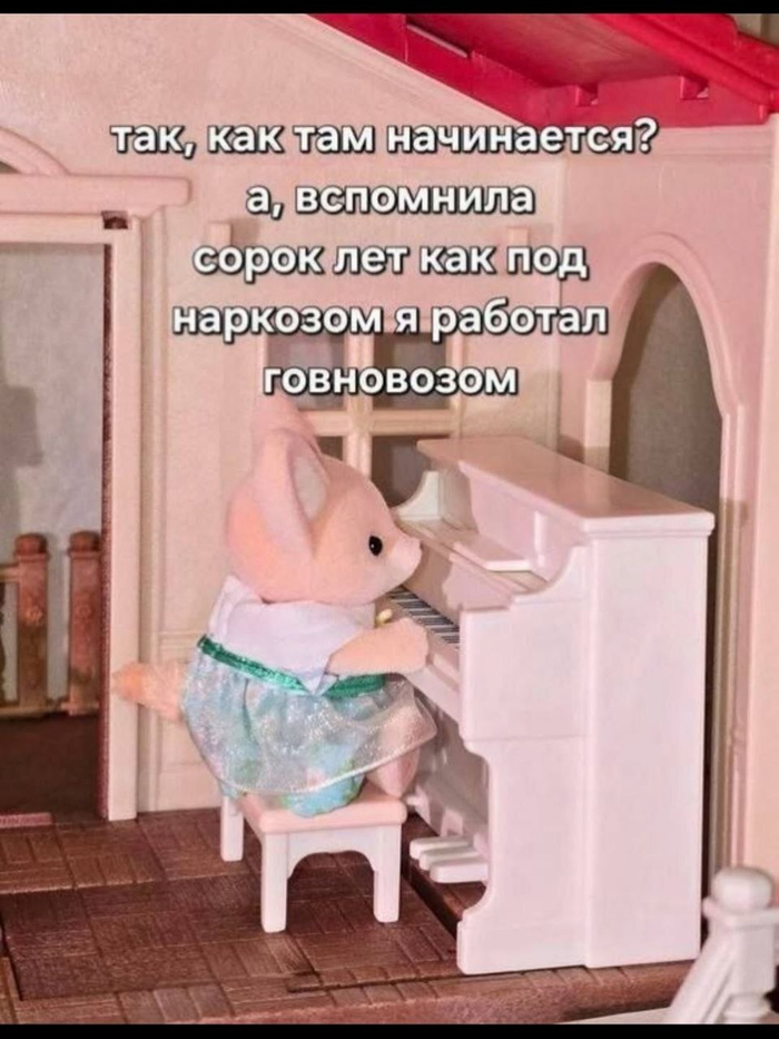 ����� ���� ���������