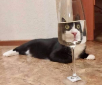 ������
