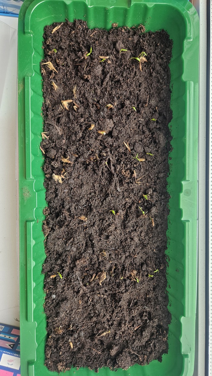 ��� ��� ���� 13.