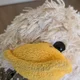 Аватар пользователя AlanFreeEagle