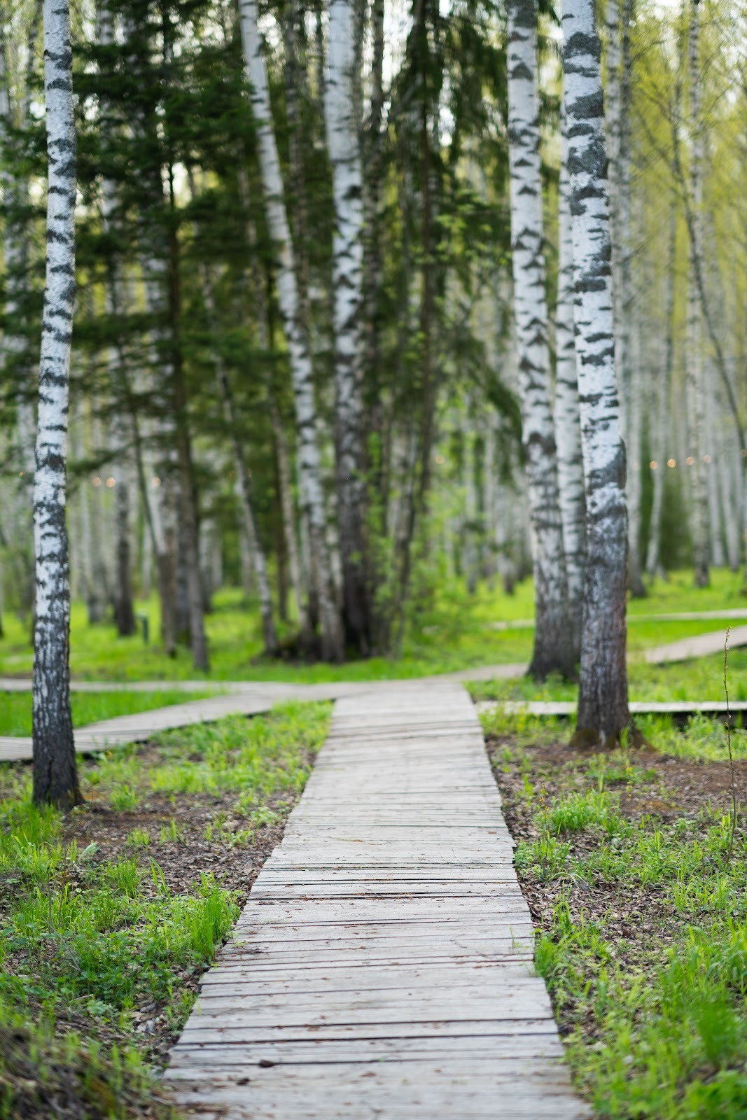 Have you been to a pioneer camp for adults? - My, Kostroma region, Holidays, The May holidays, Pioneer camp, Children's camp, Relaxation, Holidays in Russia, Travel across Russia, Entertainment, Leisure, Interesting places, Vacation, Weekend, Longpost