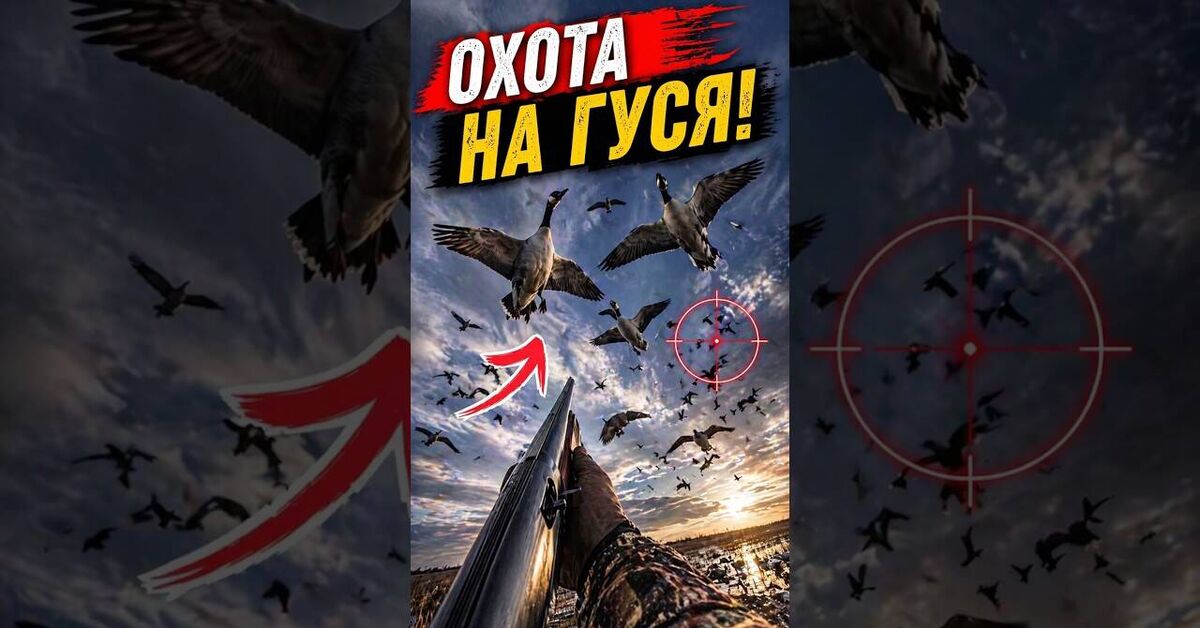 ВОТ ЭТО НАЛЕТ - Моё, Север, Короткие видео, YouTube, Охота, Охота и рыбалка, Видео