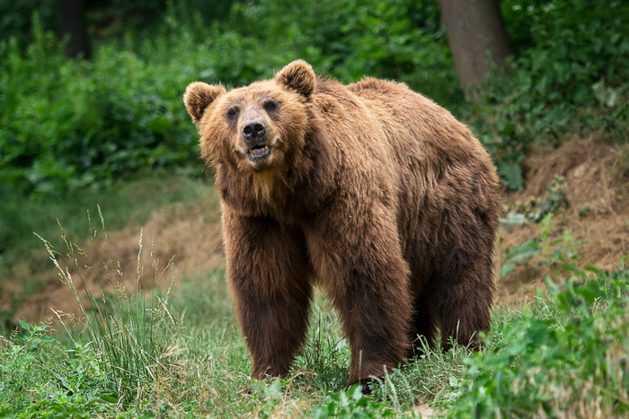 ����: Lubos Chlubny