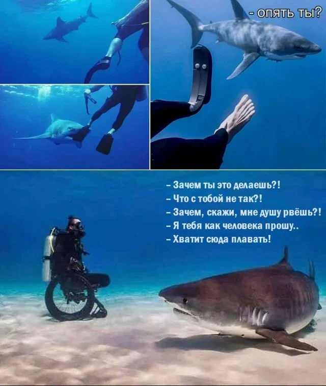 fkqcogtp.webp