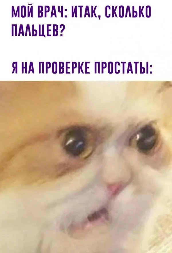 cutsoajv.webp