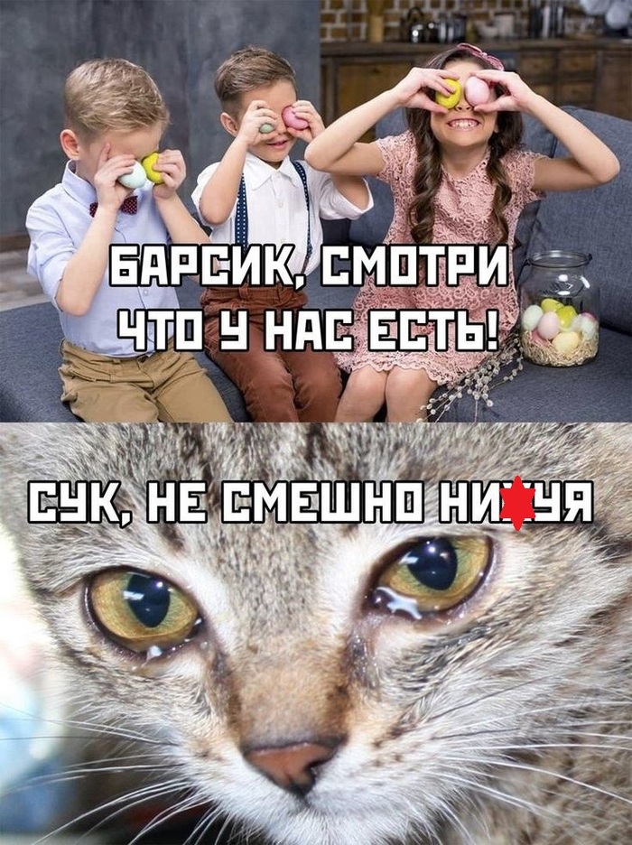 �������� �����