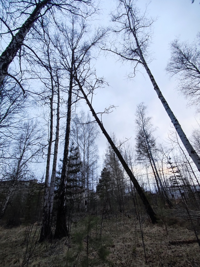 ������������