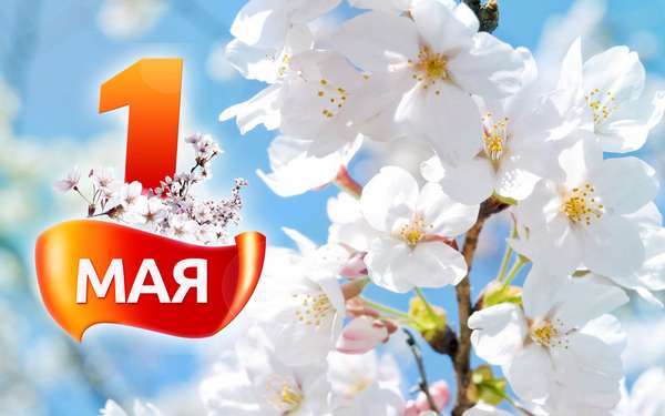 ���� � ����� <!--noindex--><a href="https://pikabu.ru/story/s_1_maya_13935000?u=http%3A%2F%2Fcardzo.ru&t=cardzo.ru&h=ce691a37c833f04ab0f150051eccdc9151ba69ed" title="http://cardzo.ru" target="_blank" rel="nofollow noopener">cardzo.ru</a><!--/noindex-->.